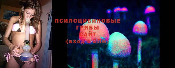 стаф Гусев