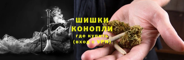 стаф Гусев