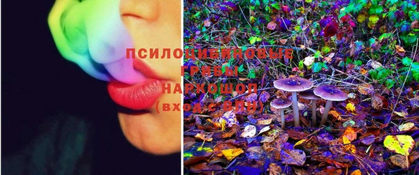 молекула духа Гусь-Хрустальный