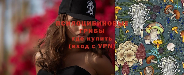 стаф Гусев