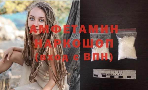 стаф Гусев