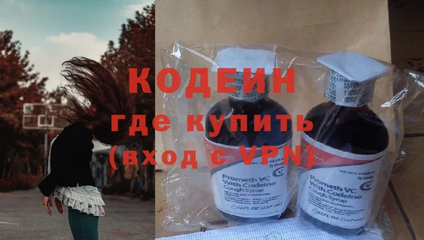 стаф Гусев