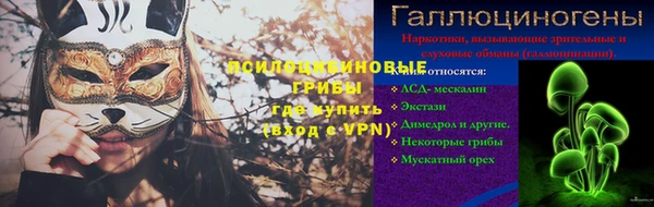 стаф Гусев